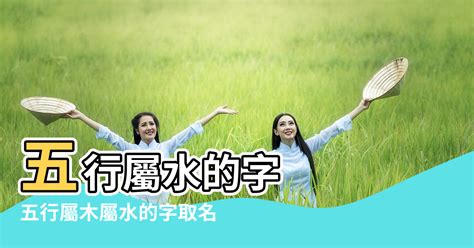 五行屬水的字|屬水的字